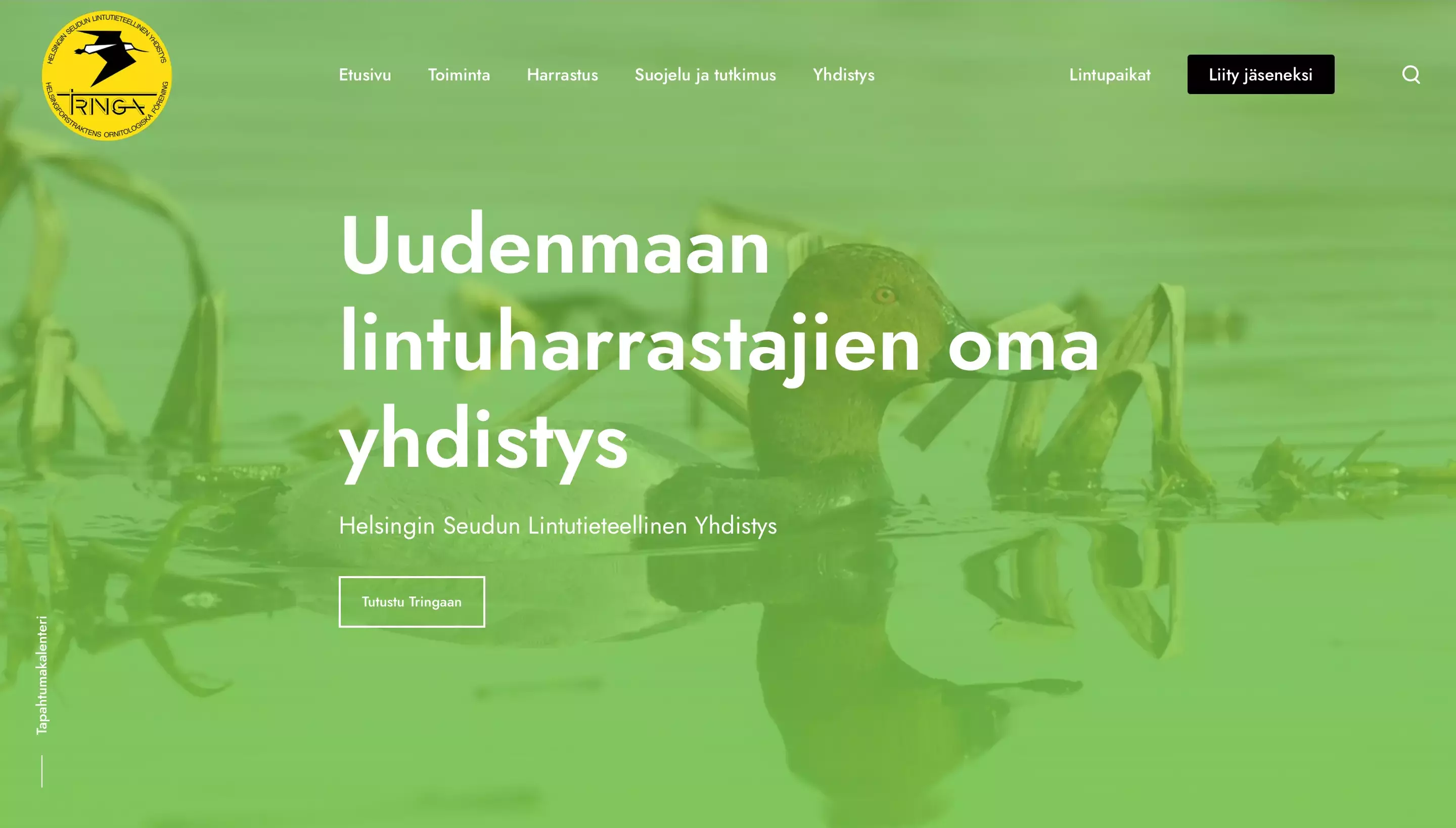 Portfolio Images