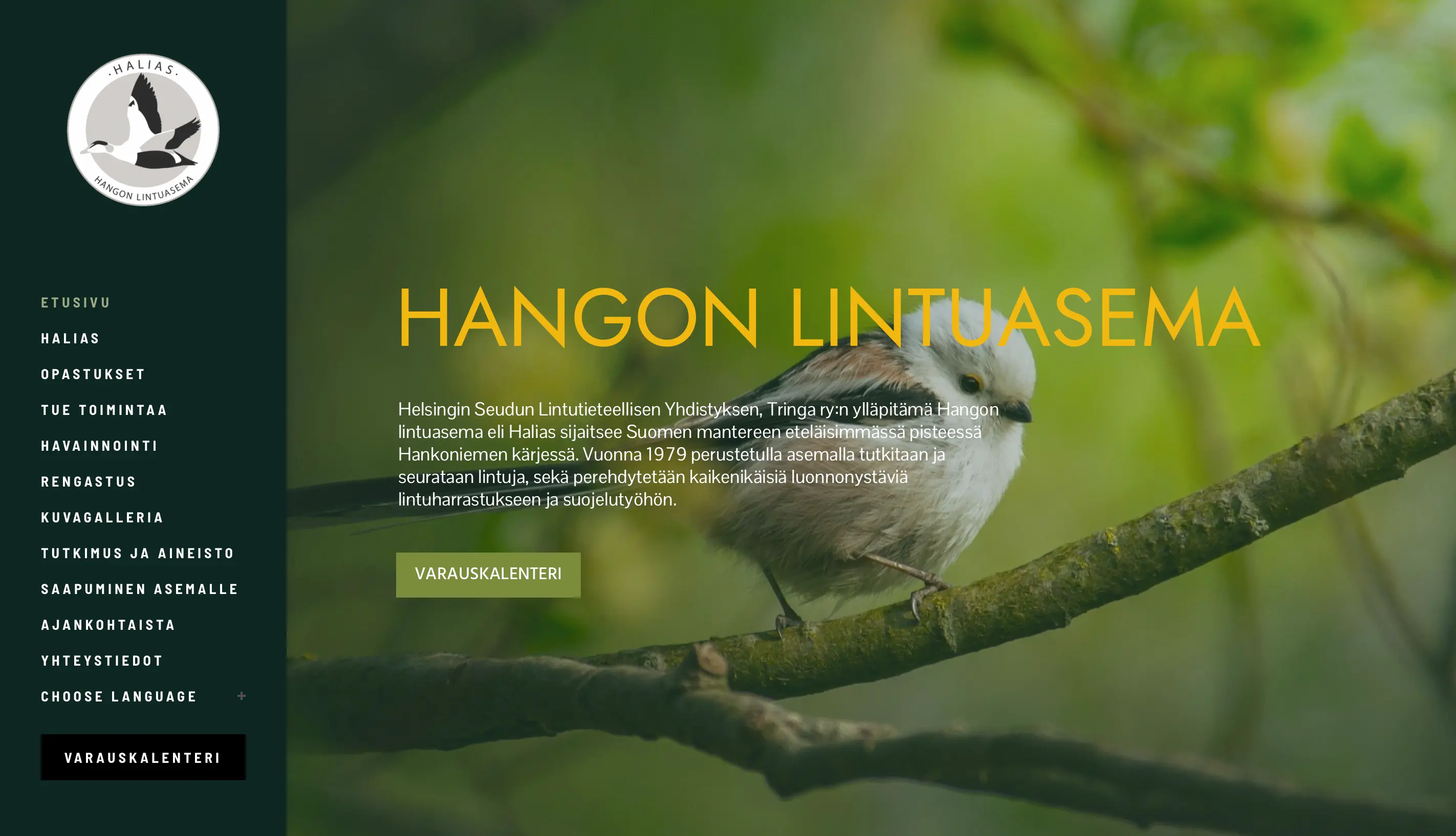 Portfolio Images